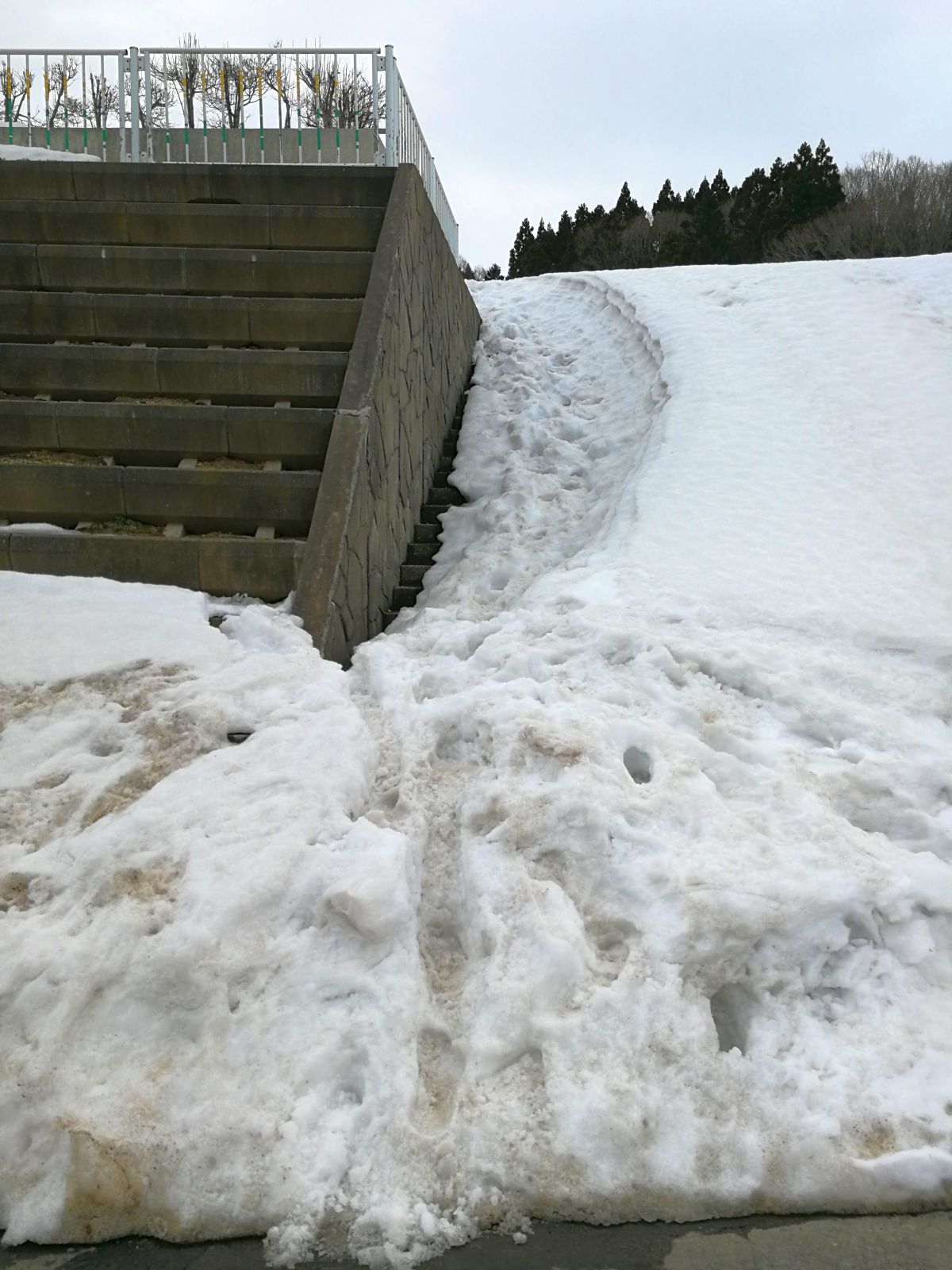 展望広場への道
