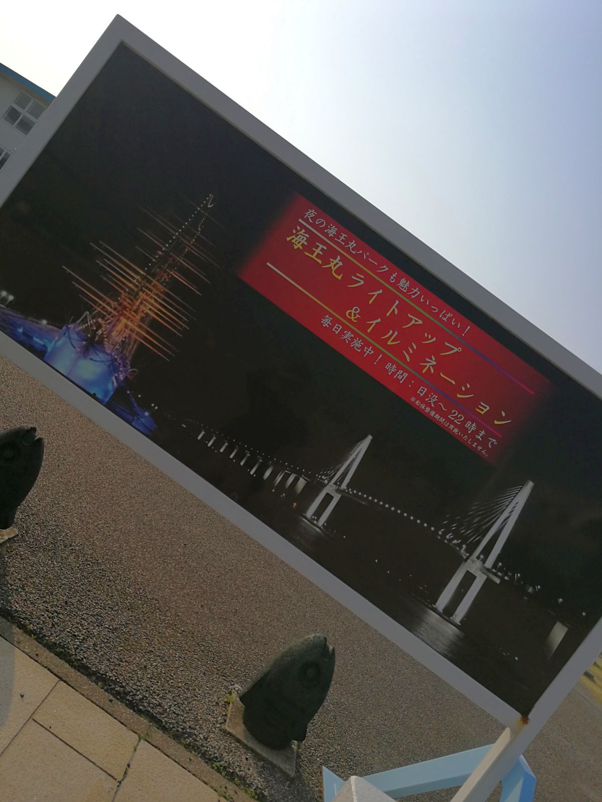 海王丸ライトアップ＆イルミネーション