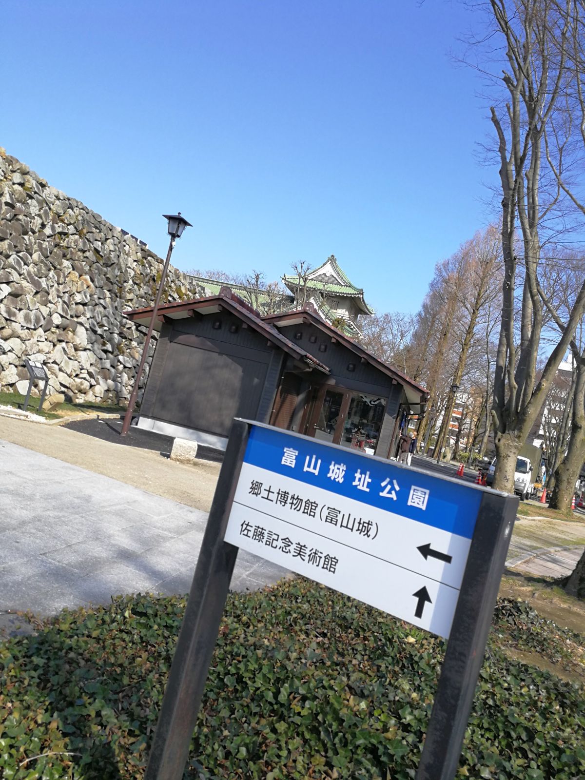 プチ行動開始