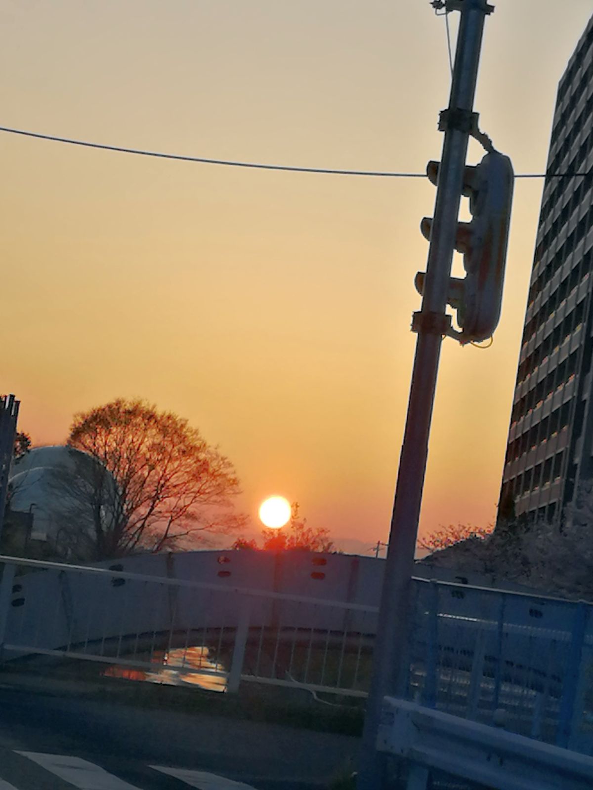 本日の夕日