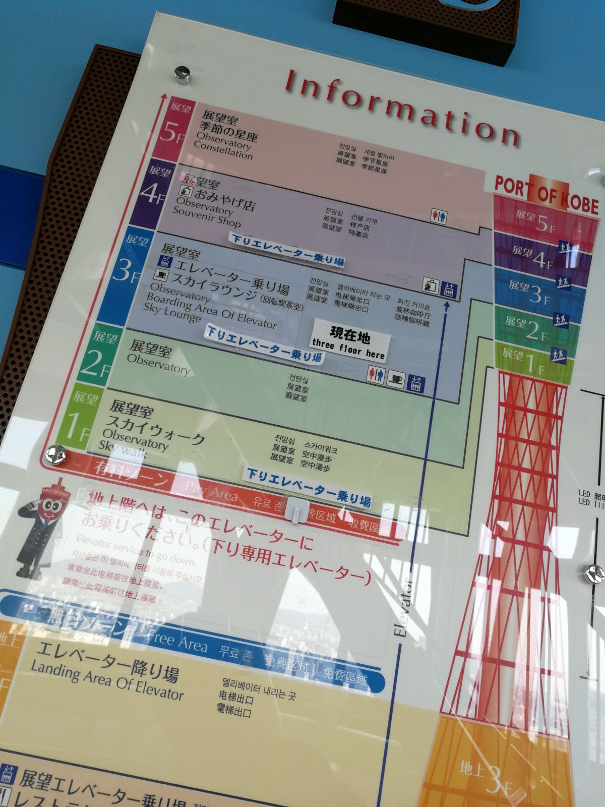 フロア図