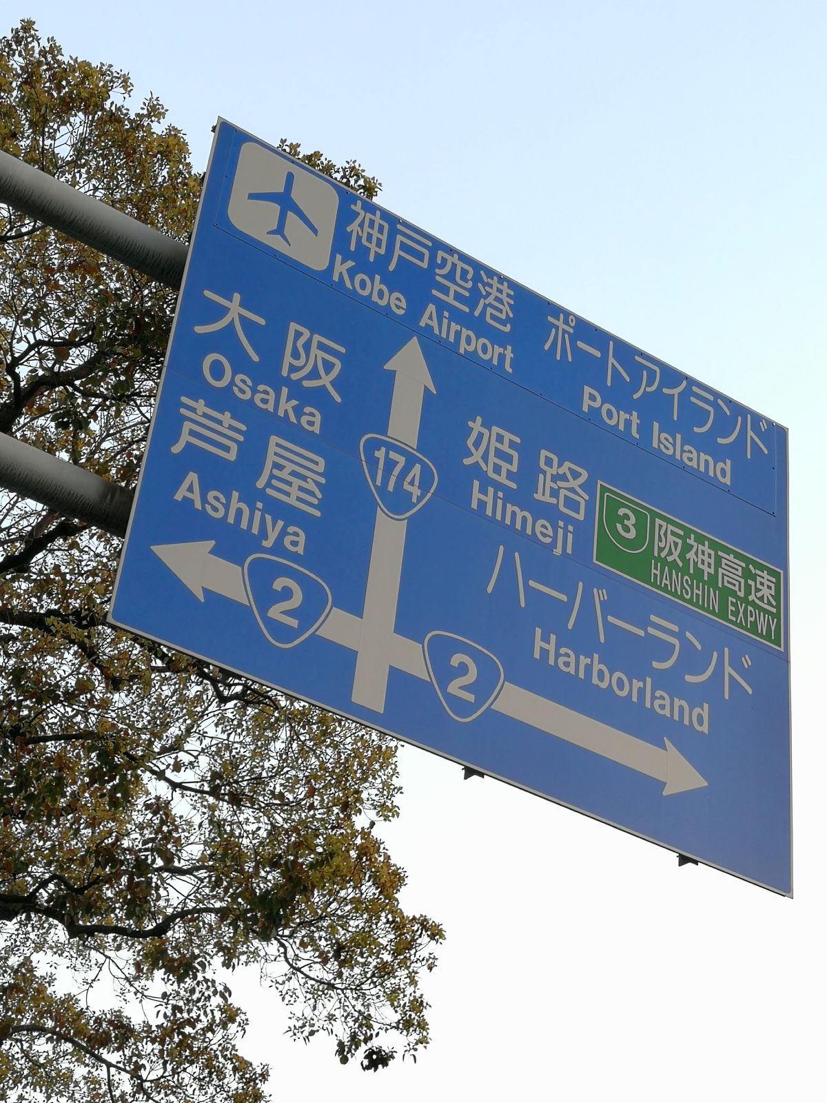 周辺の散歩