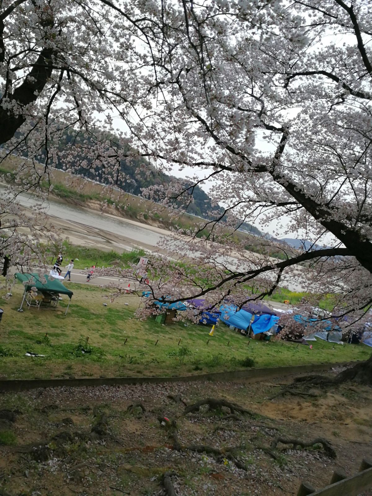 屋台の出店