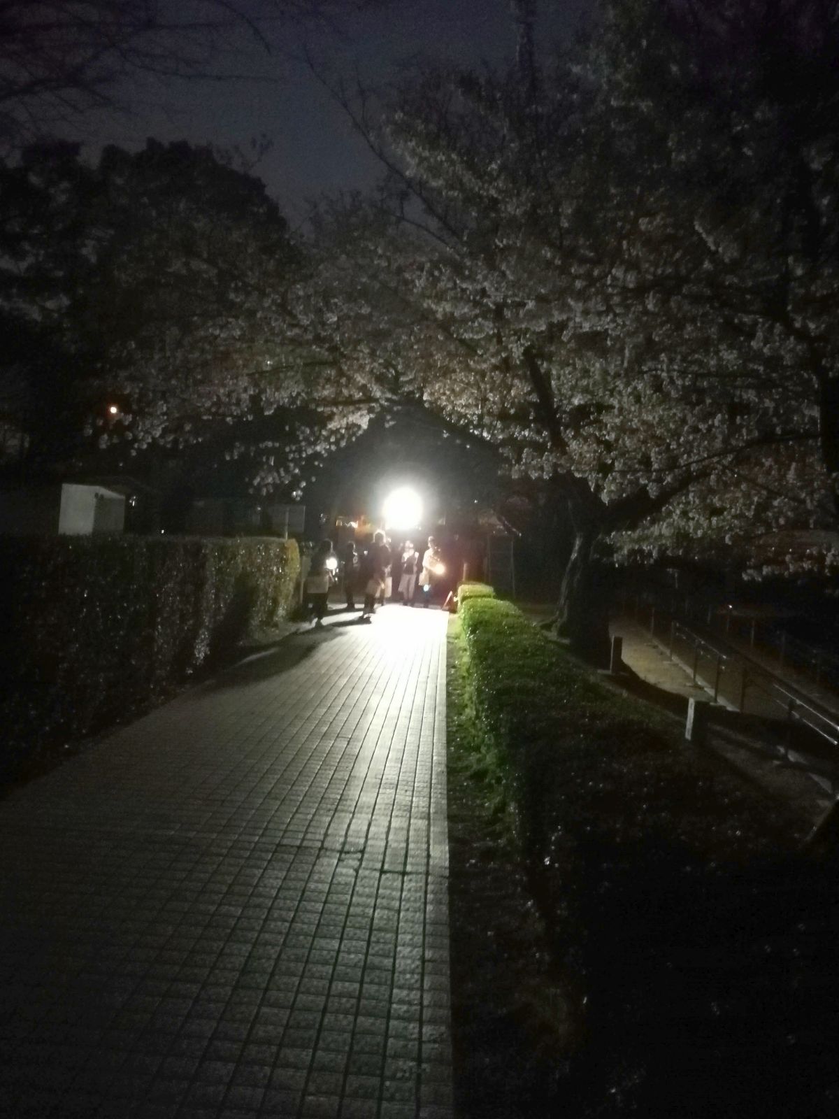 夜のロケ