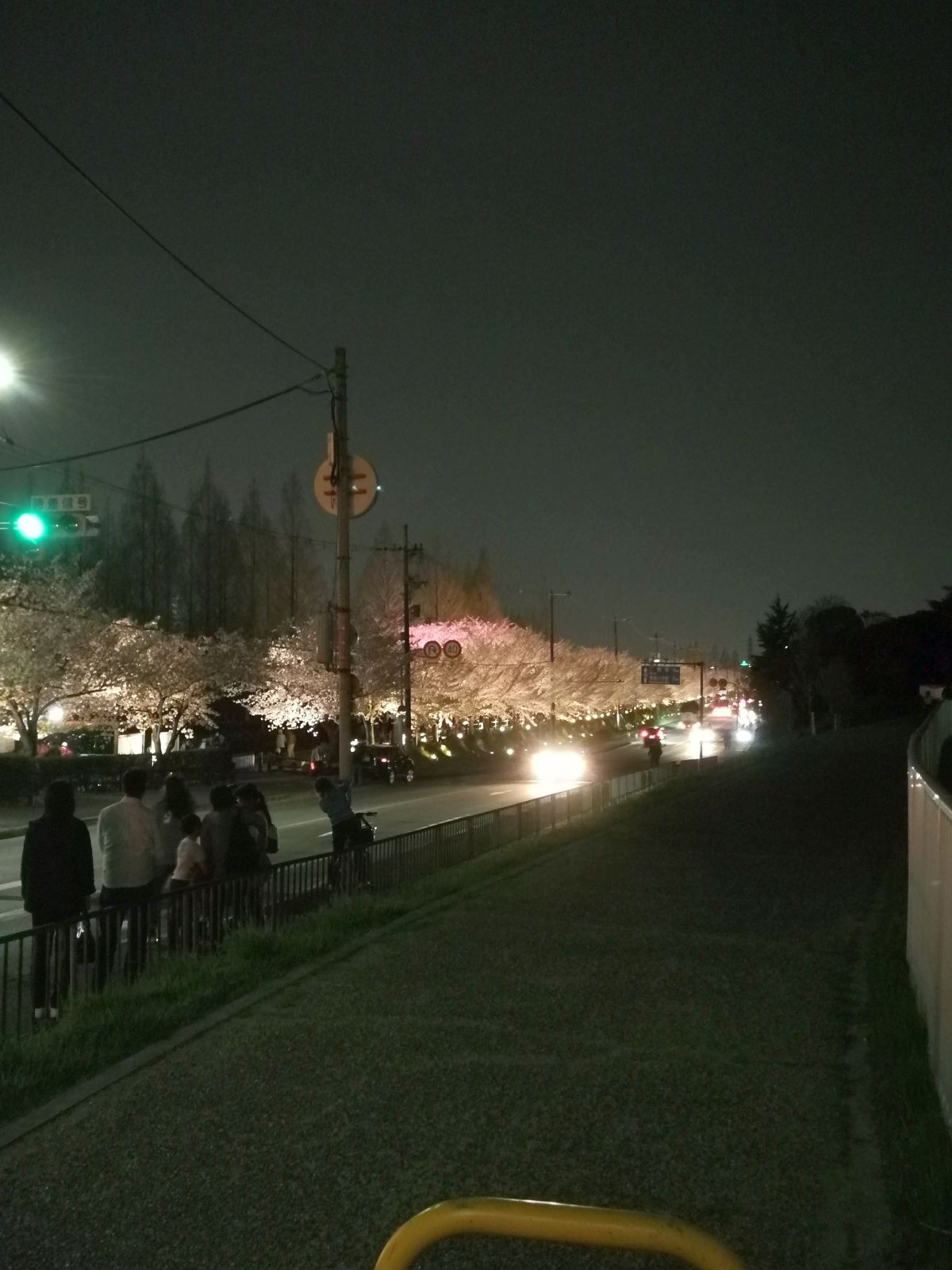 道路沿いから見たライトアップ