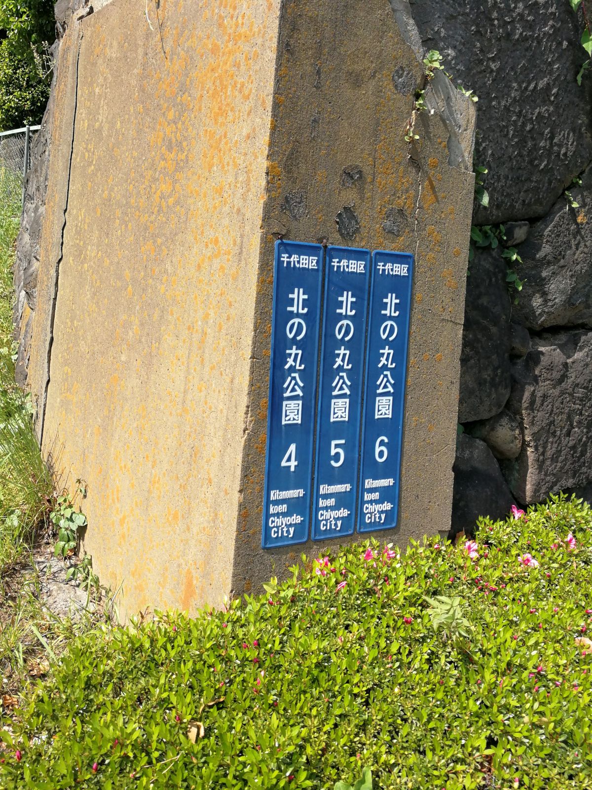北の丸公園４５６