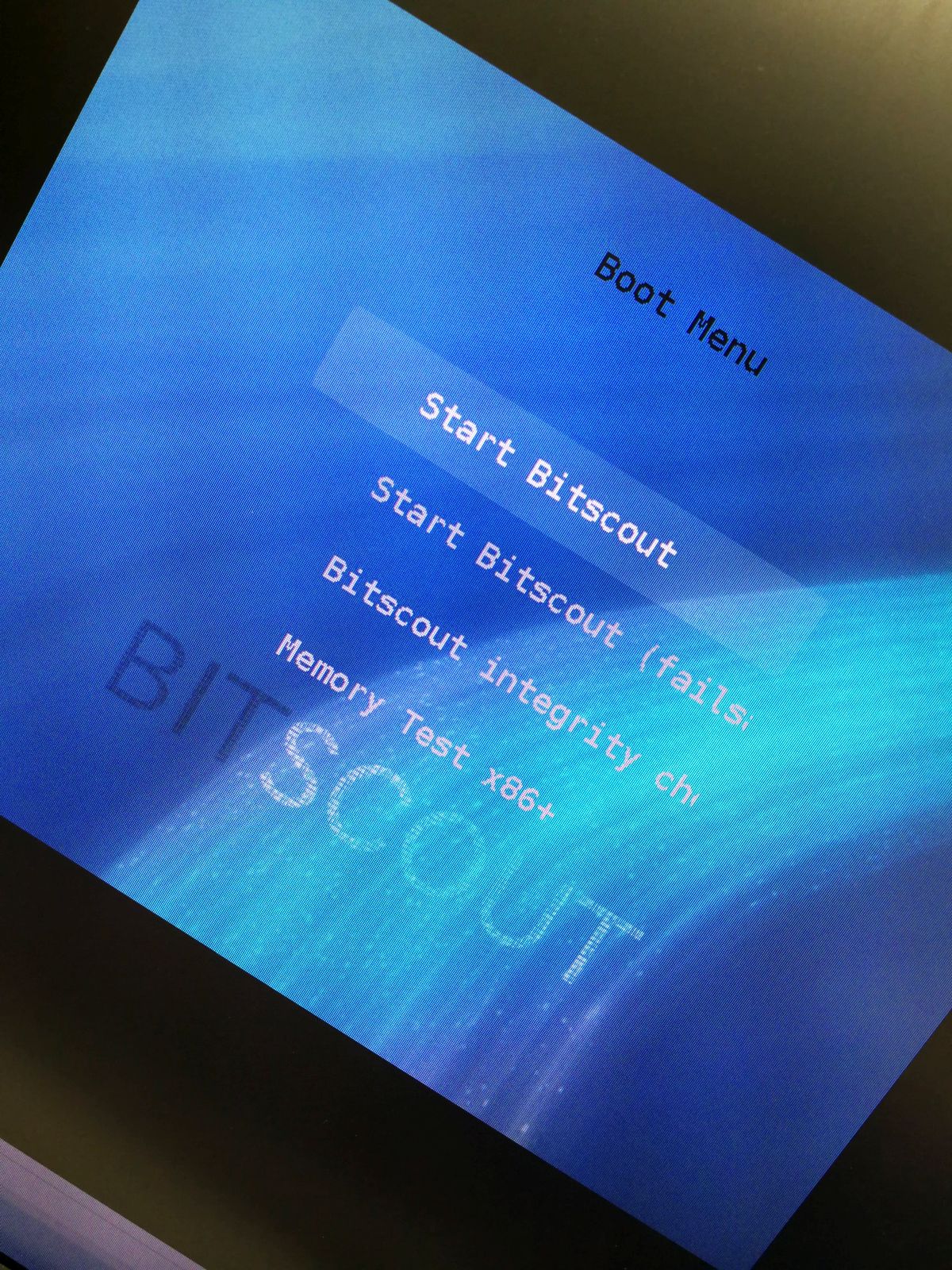 Bitscout