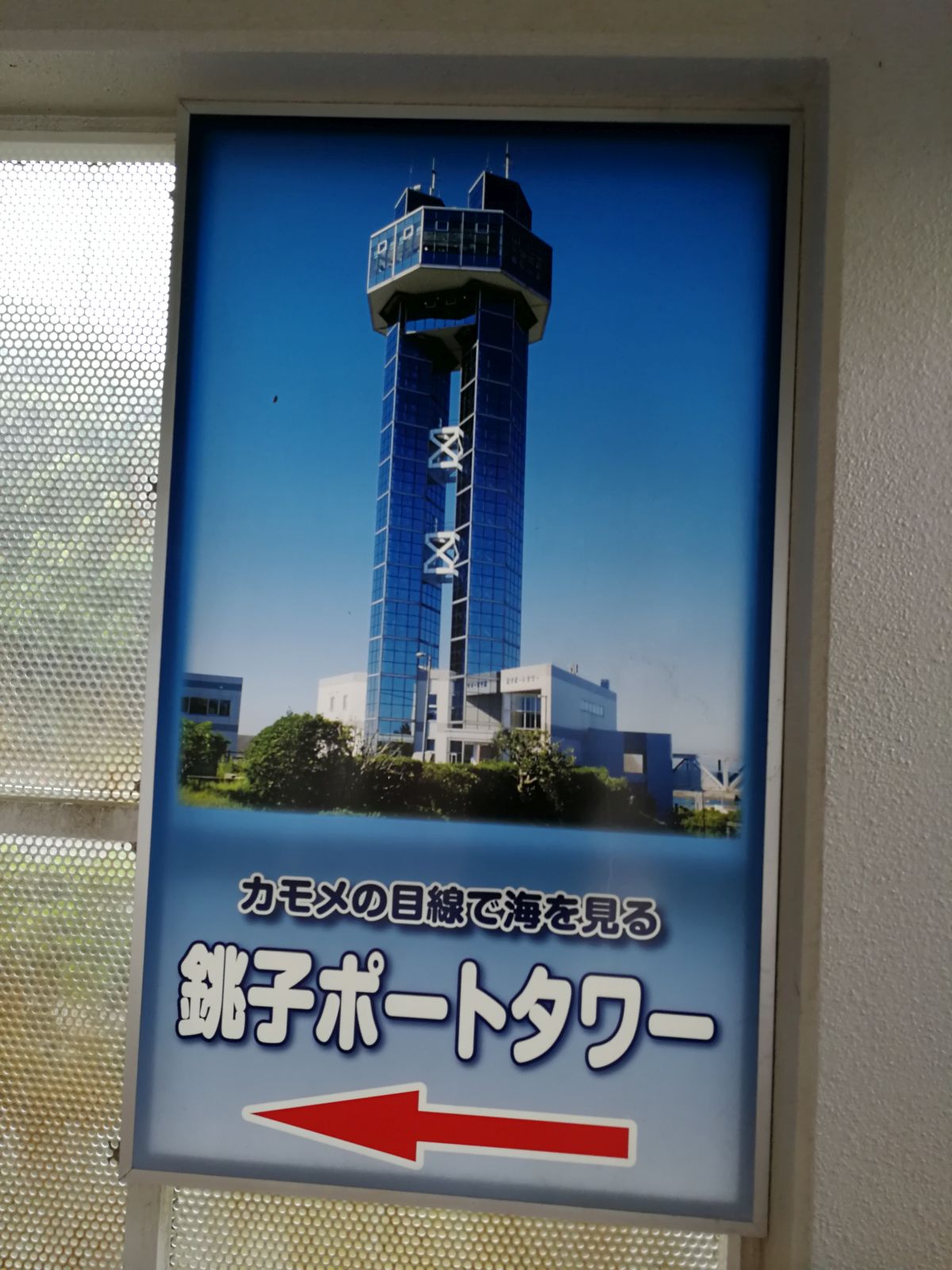カモメの目線で海を見る