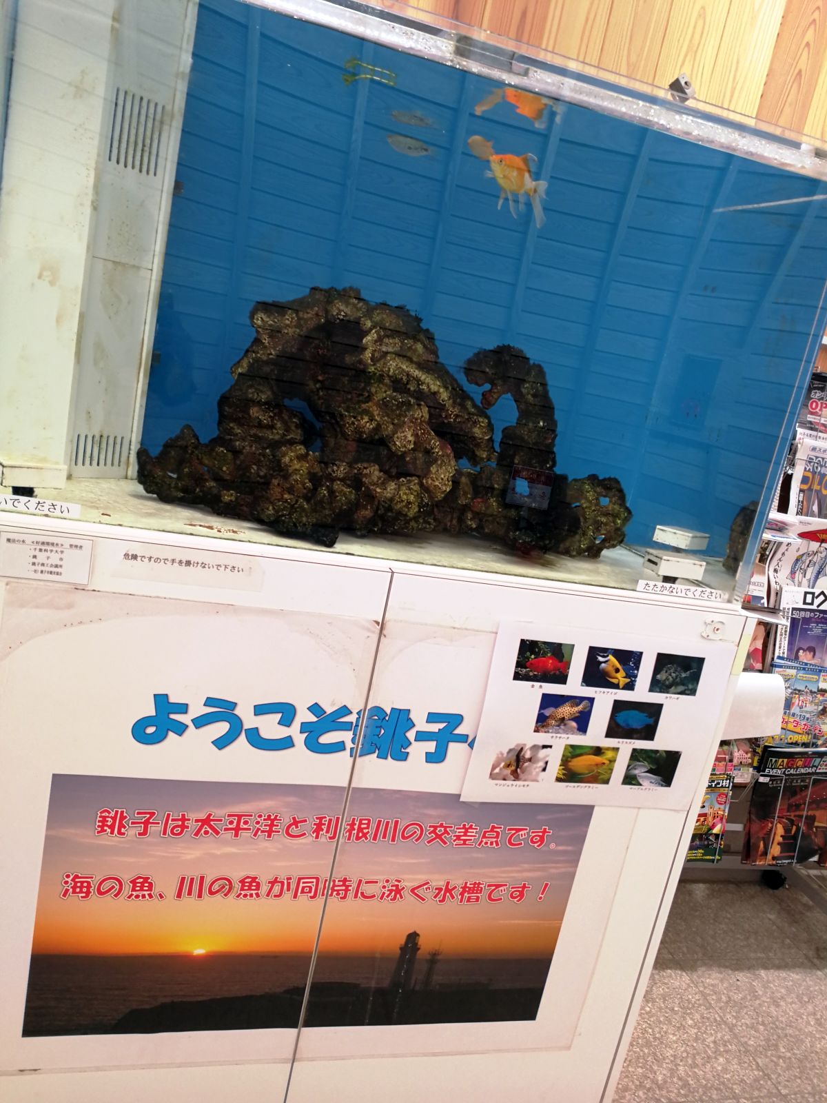 汽水域