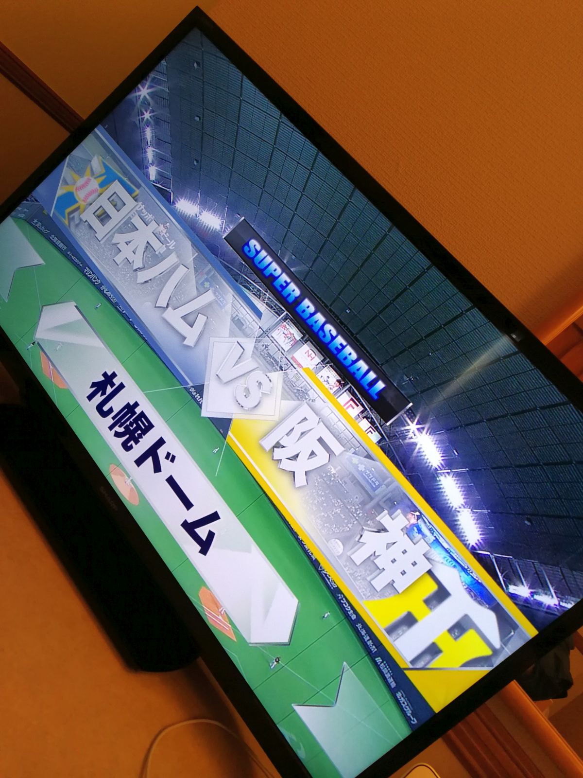 本日のテレビ視聴