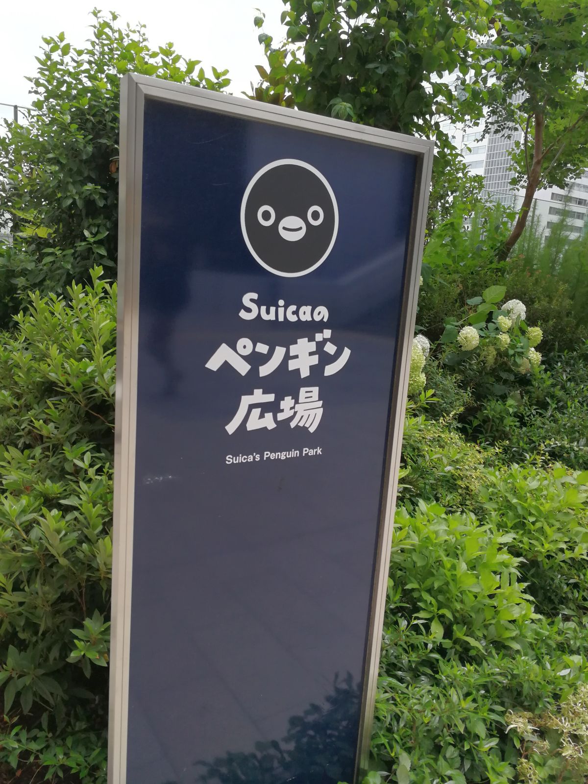 Suicaのペンギン広場