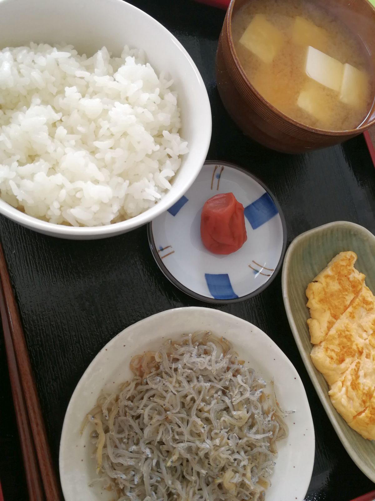 本日の朝食兼昼食