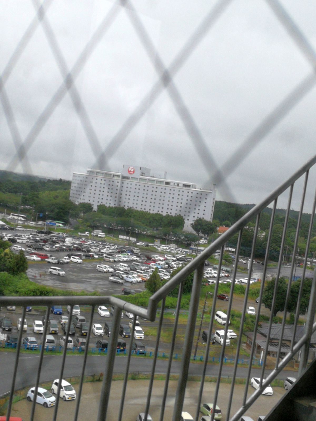 日航成田あっち