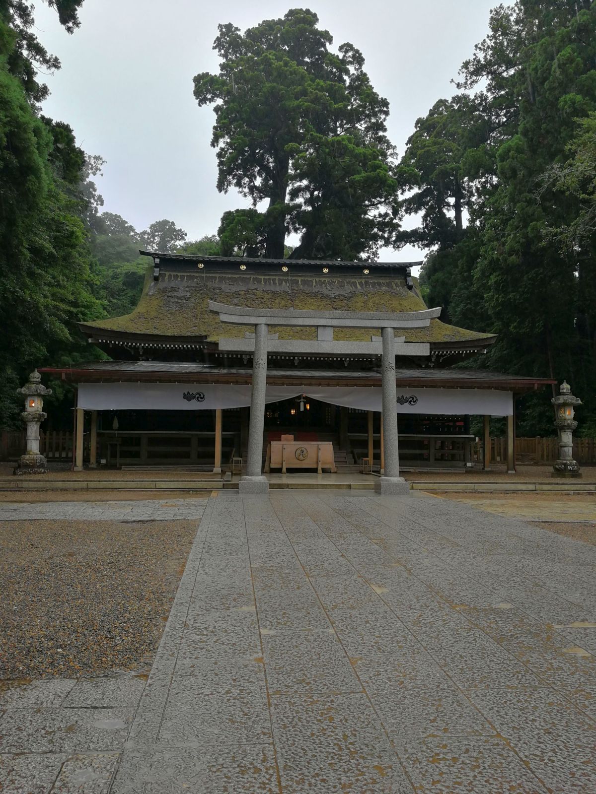 本殿