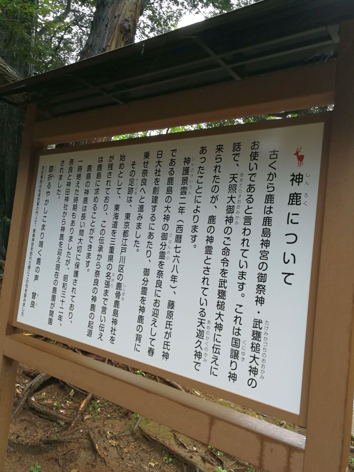 神鹿について