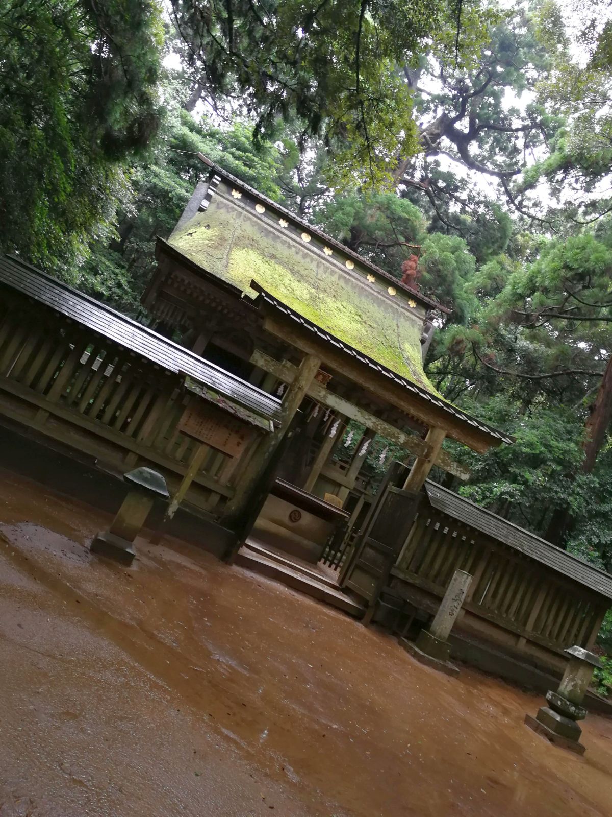 奥宮