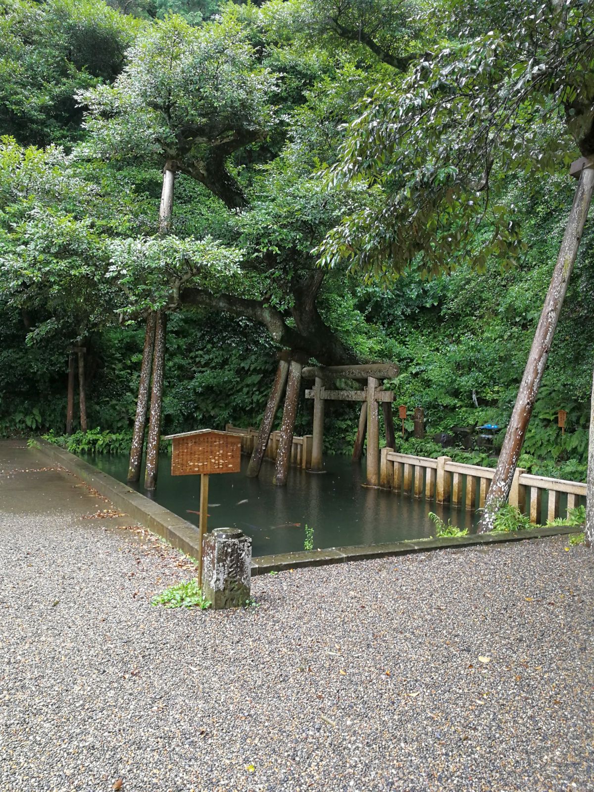 池に鳥居