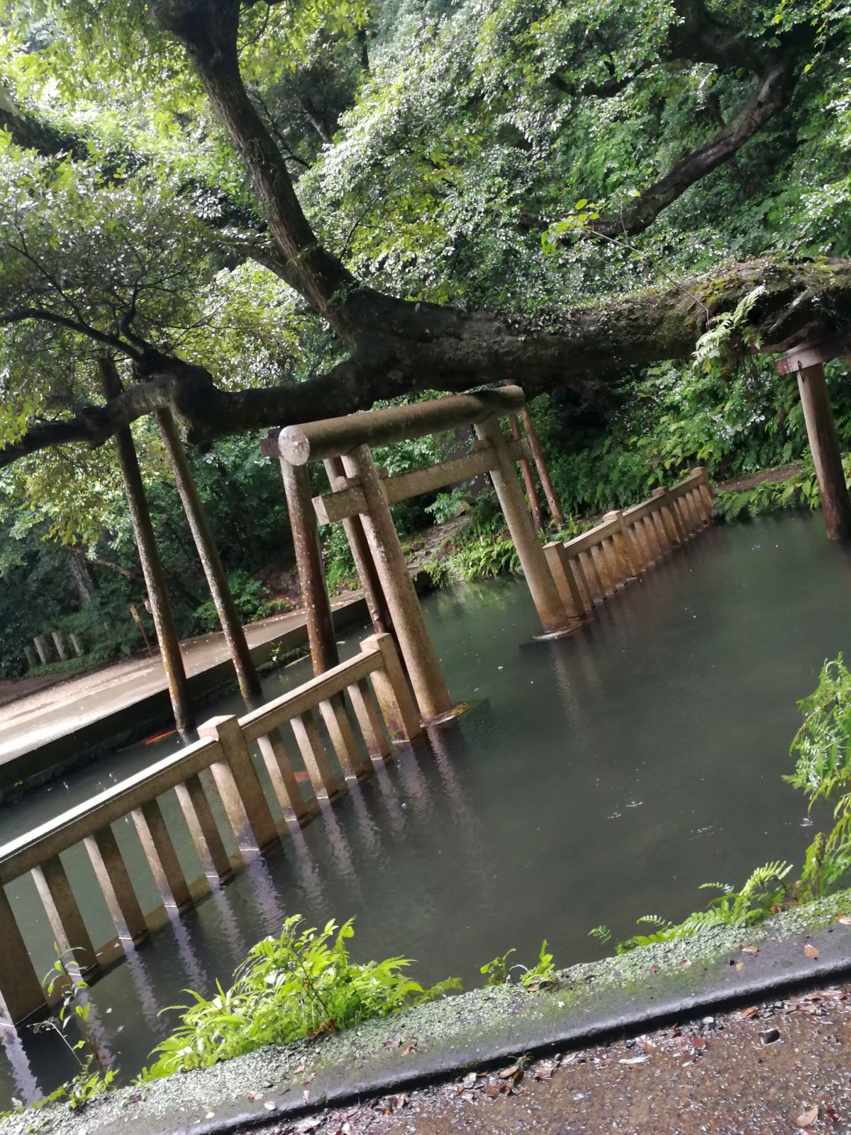 御手洗の後側