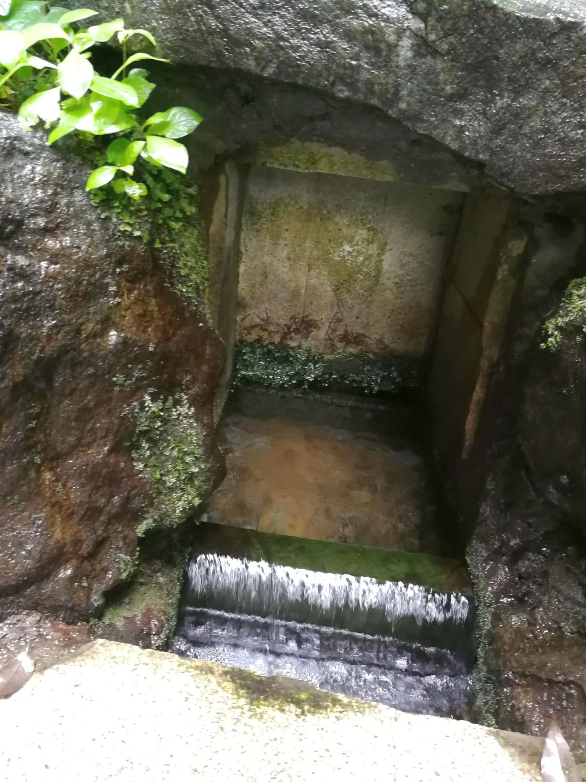 御手洗池の取水口
