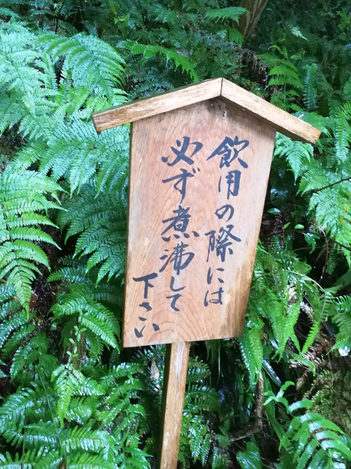 飲用の際には必ず煮沸して下さい