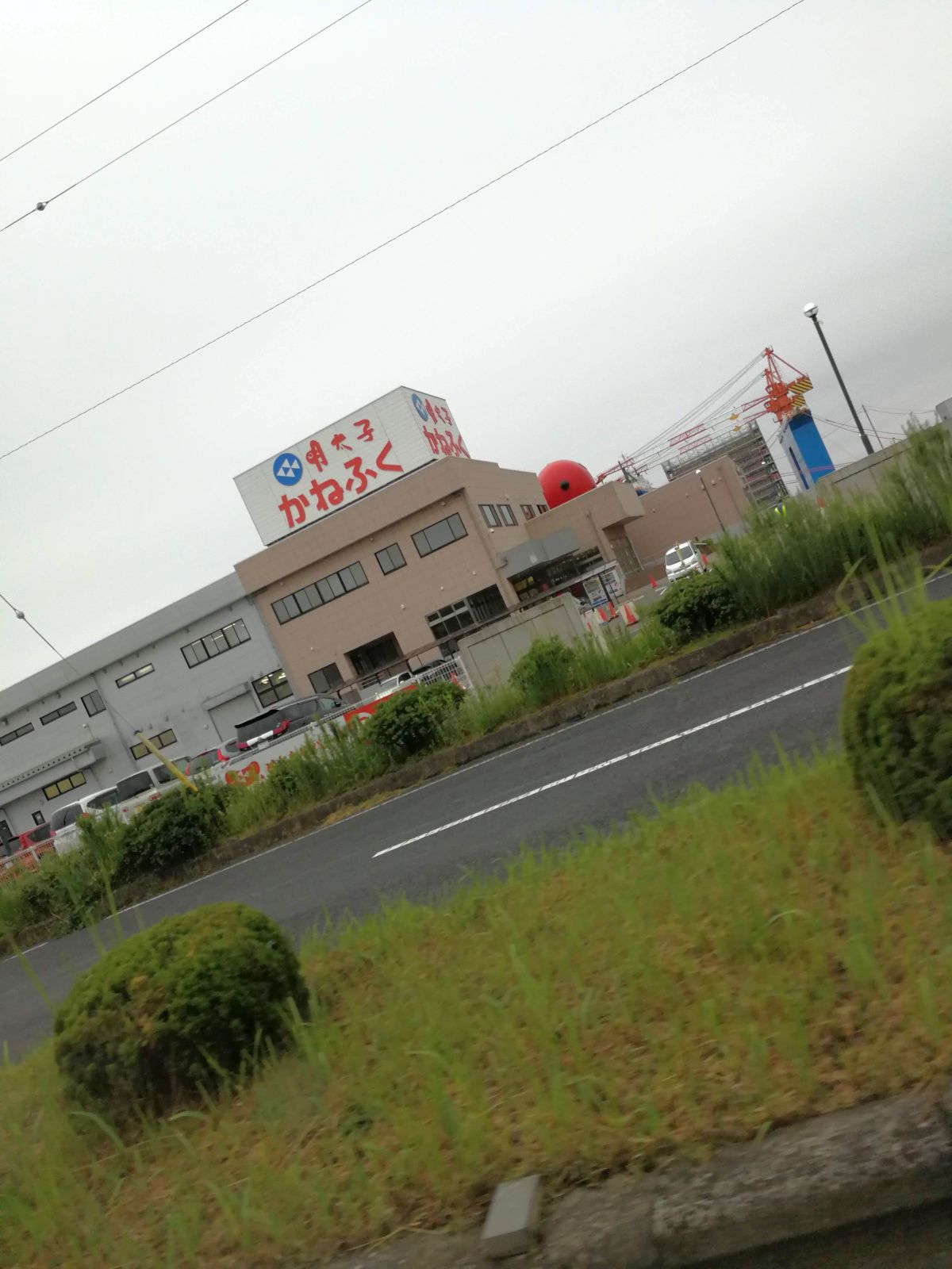 めんたいパーク大洗