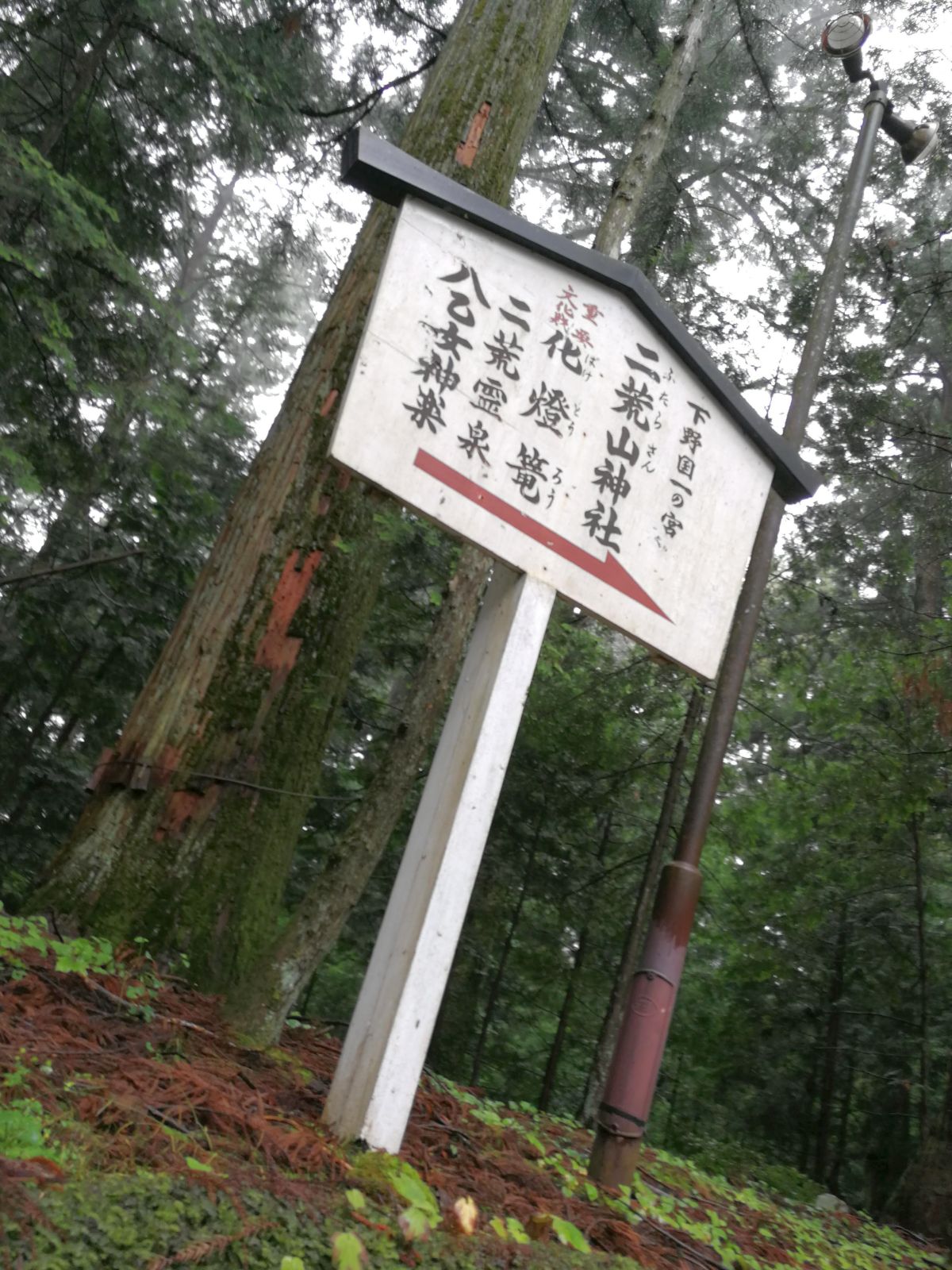 二荒山神社あっち