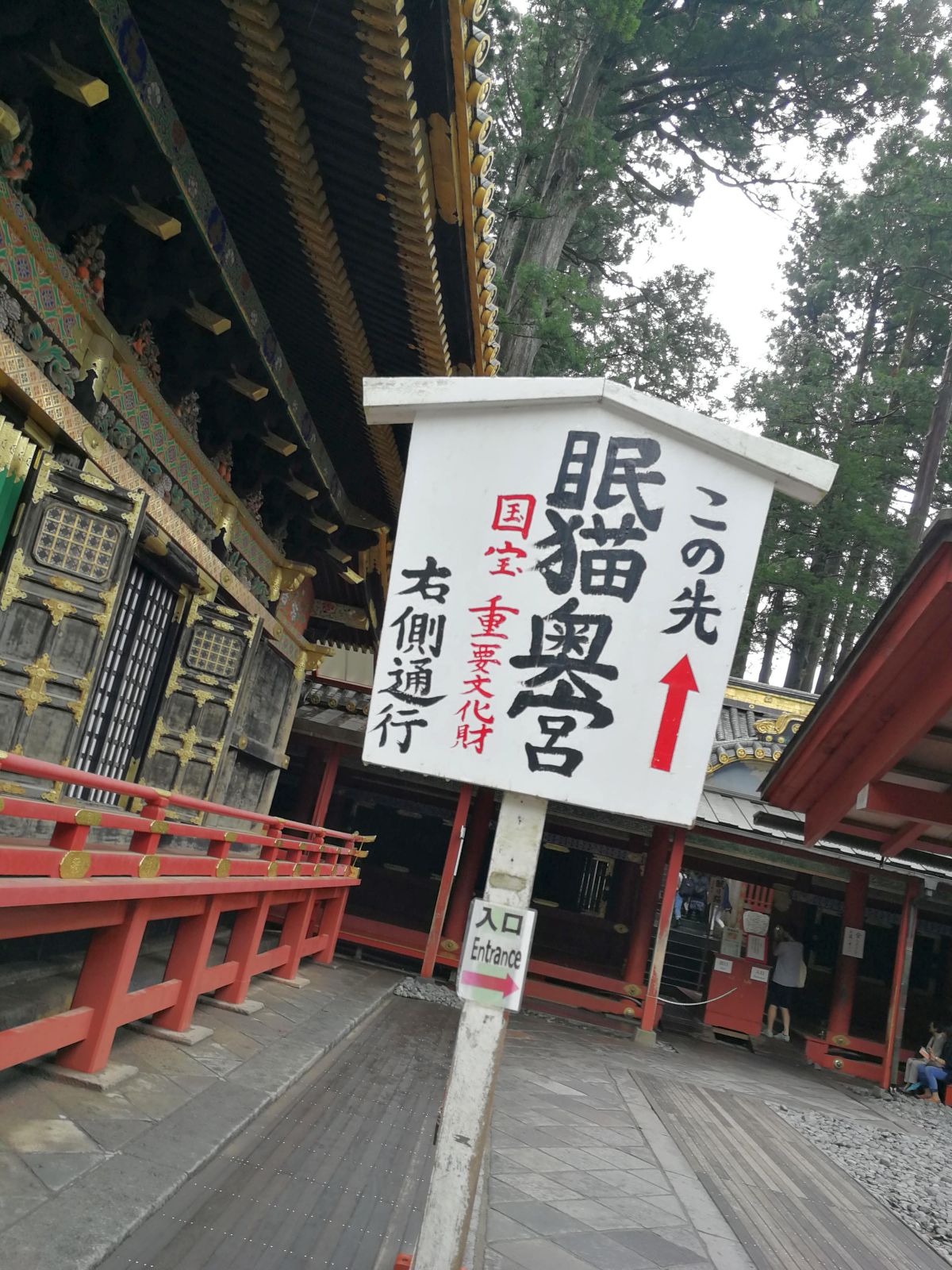 この先 眠猫奥宮