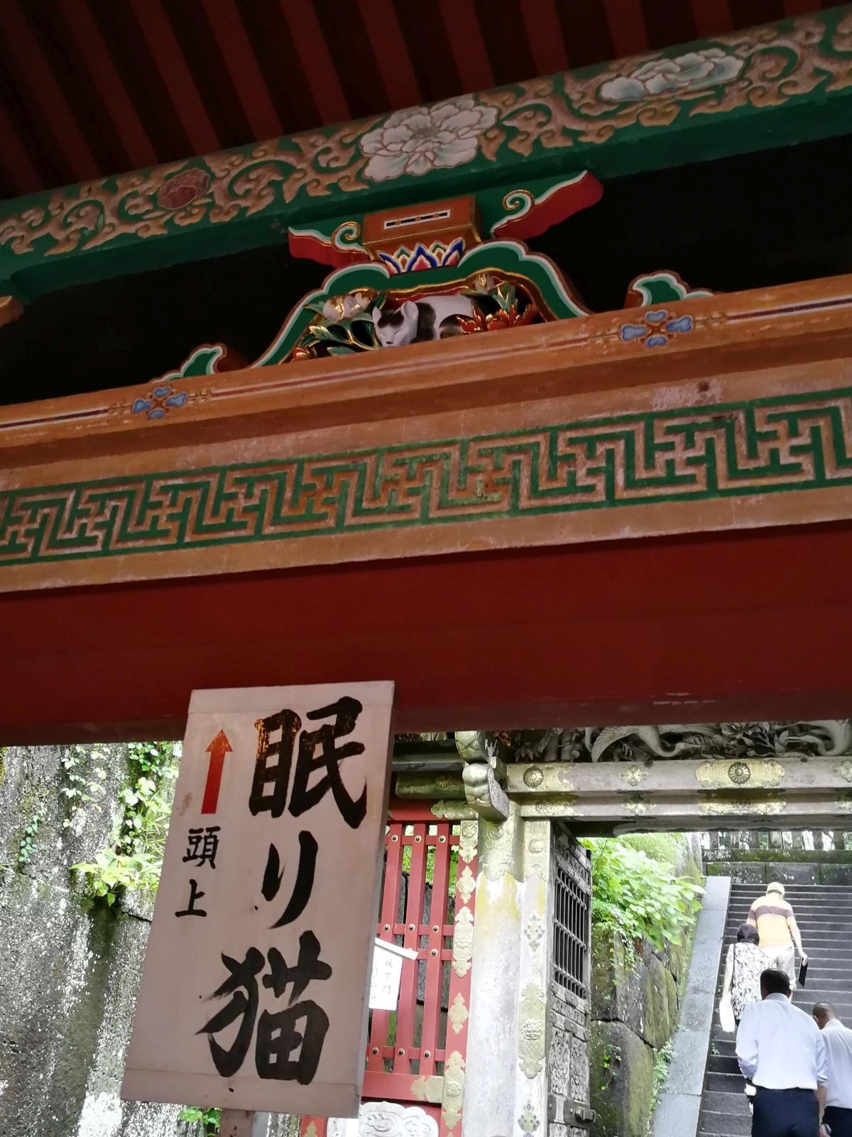 眠り猫↑頭上