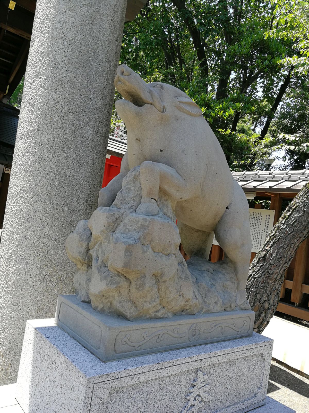 猪像