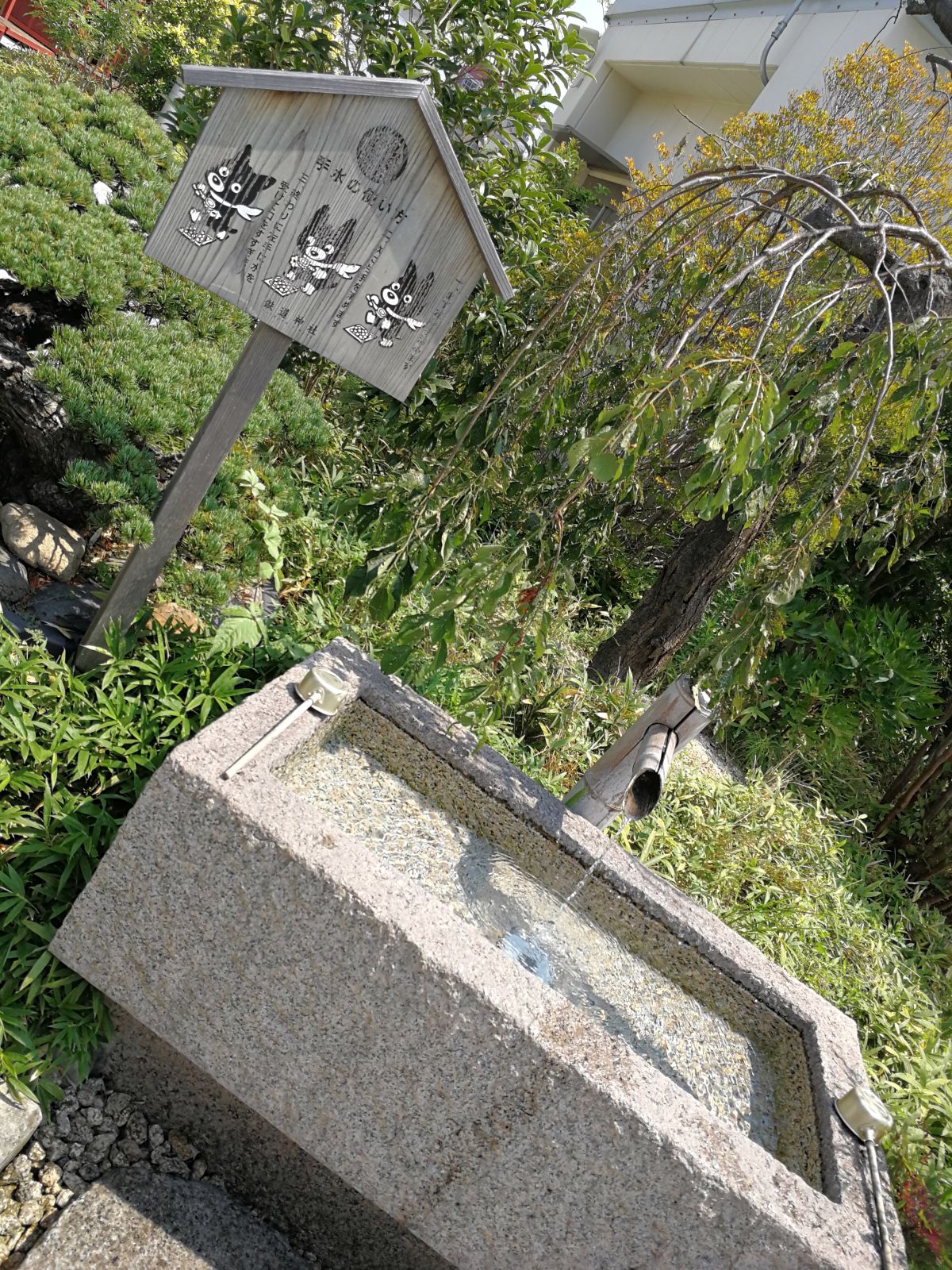 手水舎