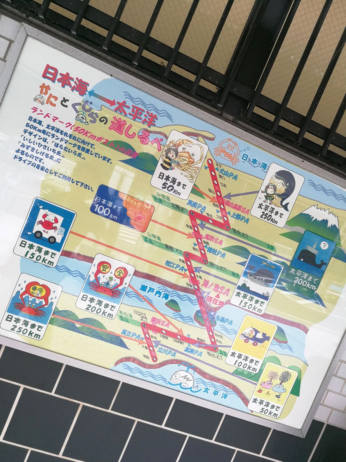 かにとくじらの道しるべ