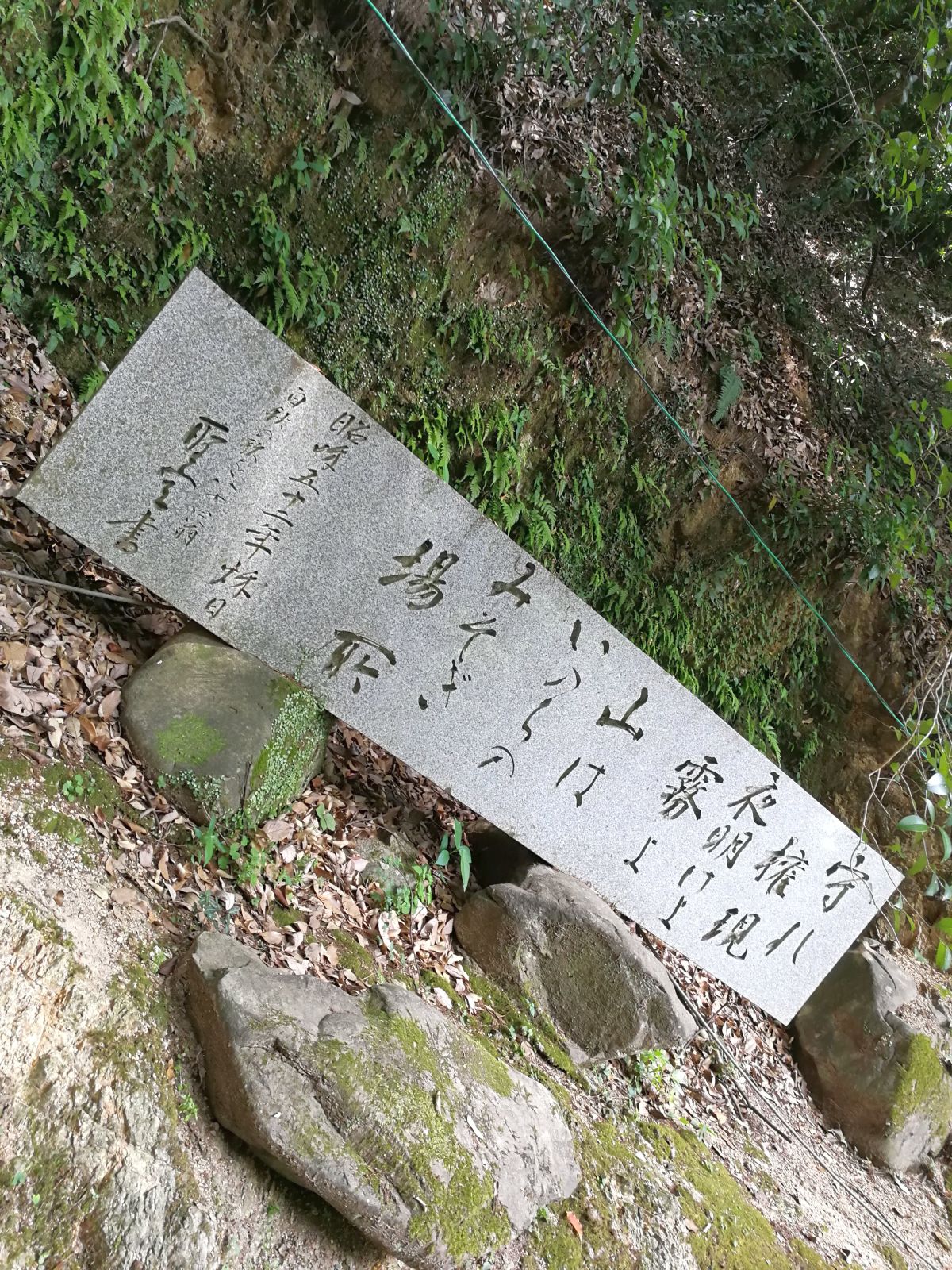 守れ権現 夜明けよ霧よ 山はいのちのみそぎ場所