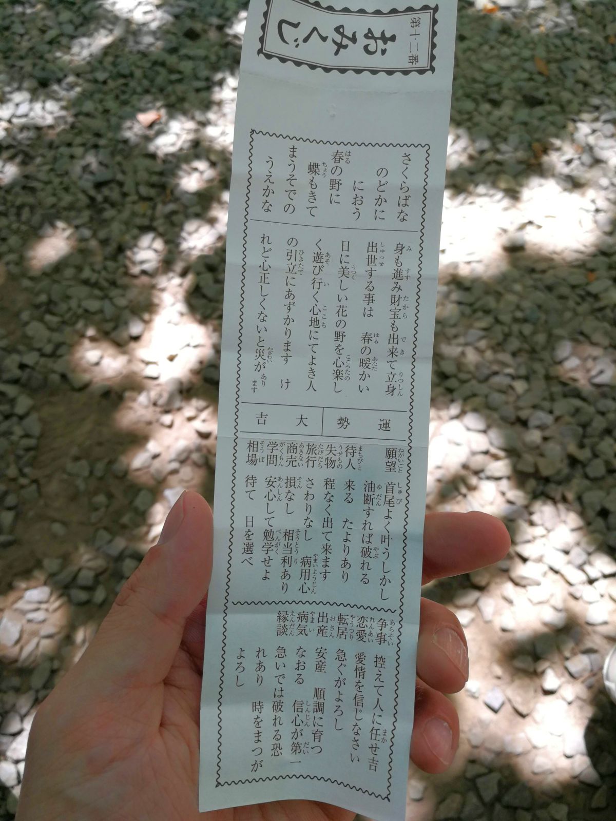本日のおみくじ