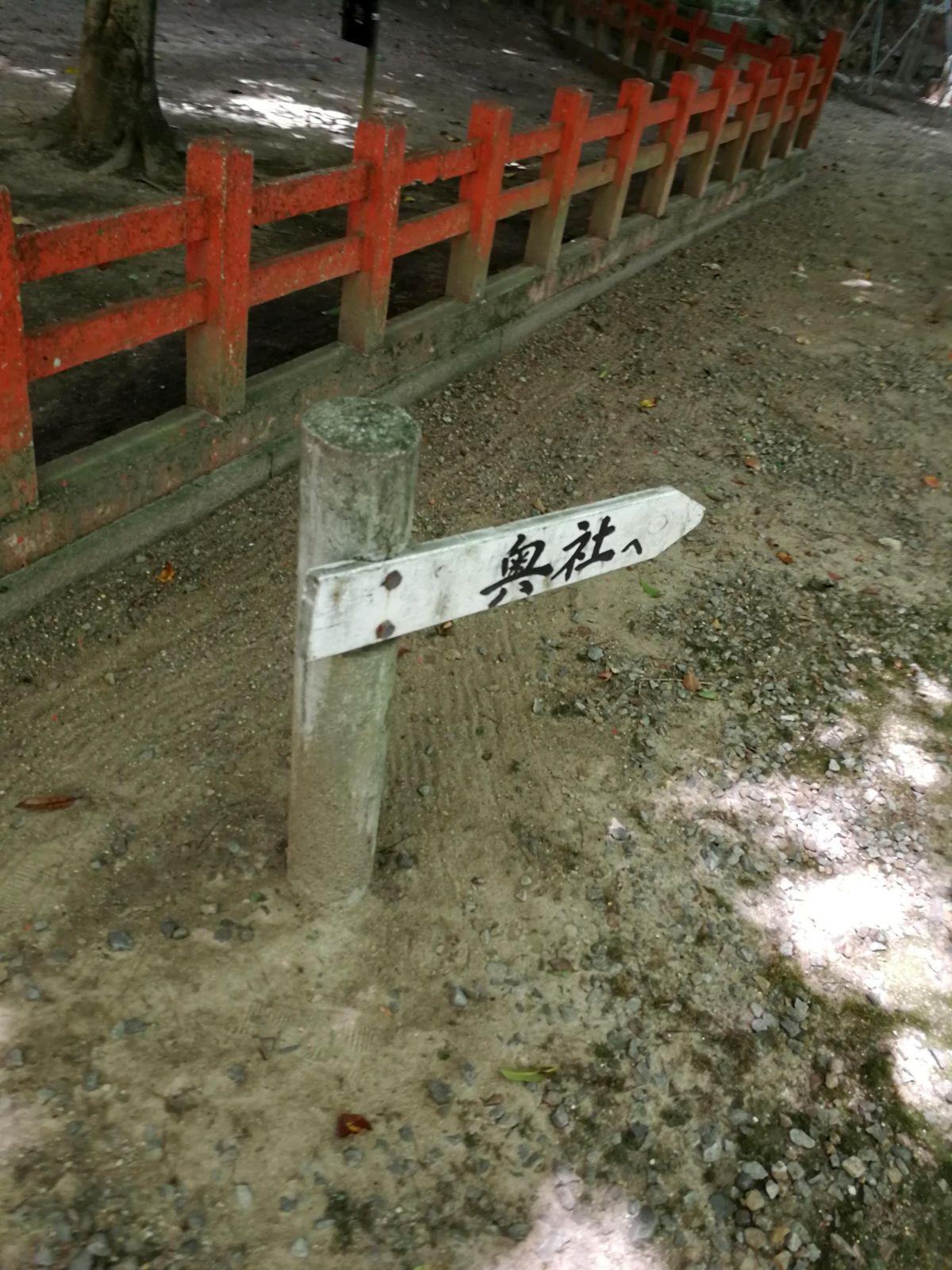 奥社へ