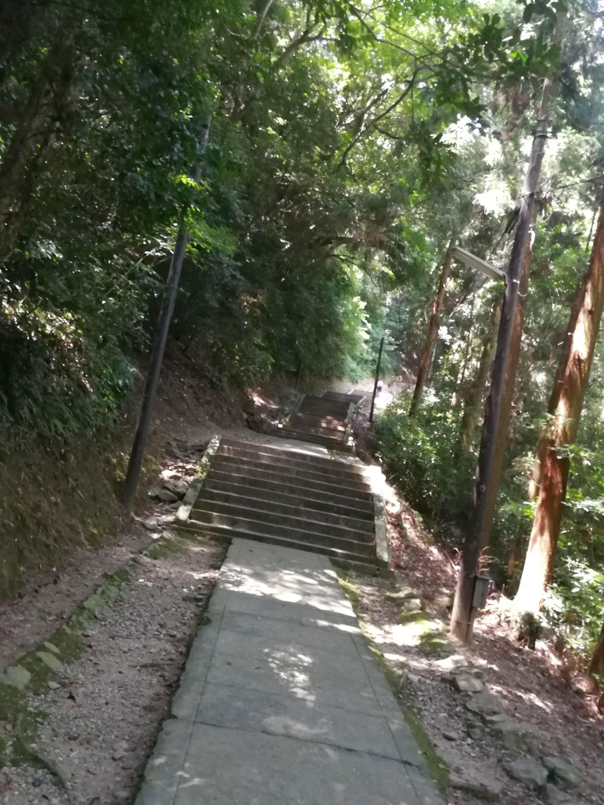 まだ階段