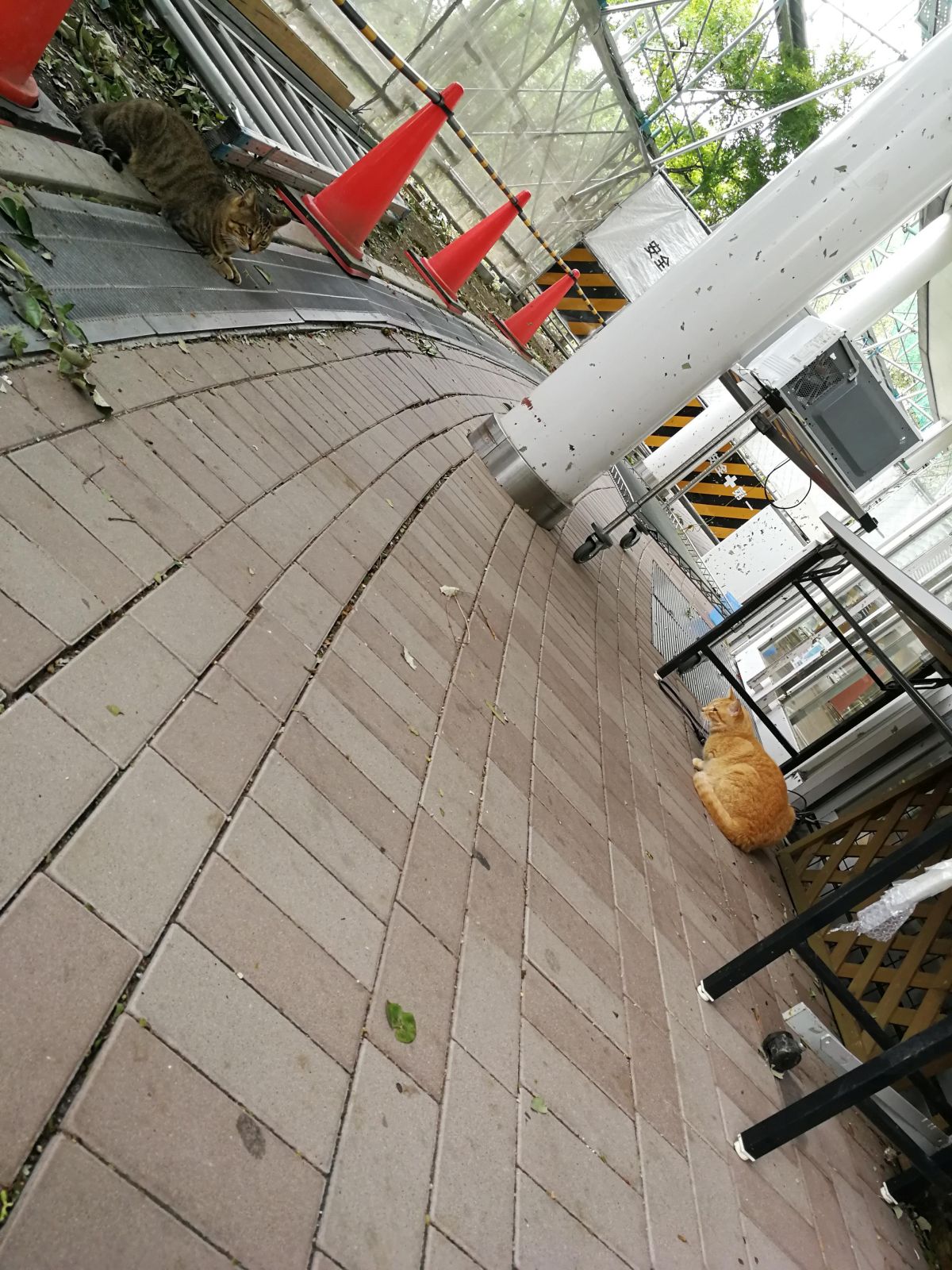 定番の対峙