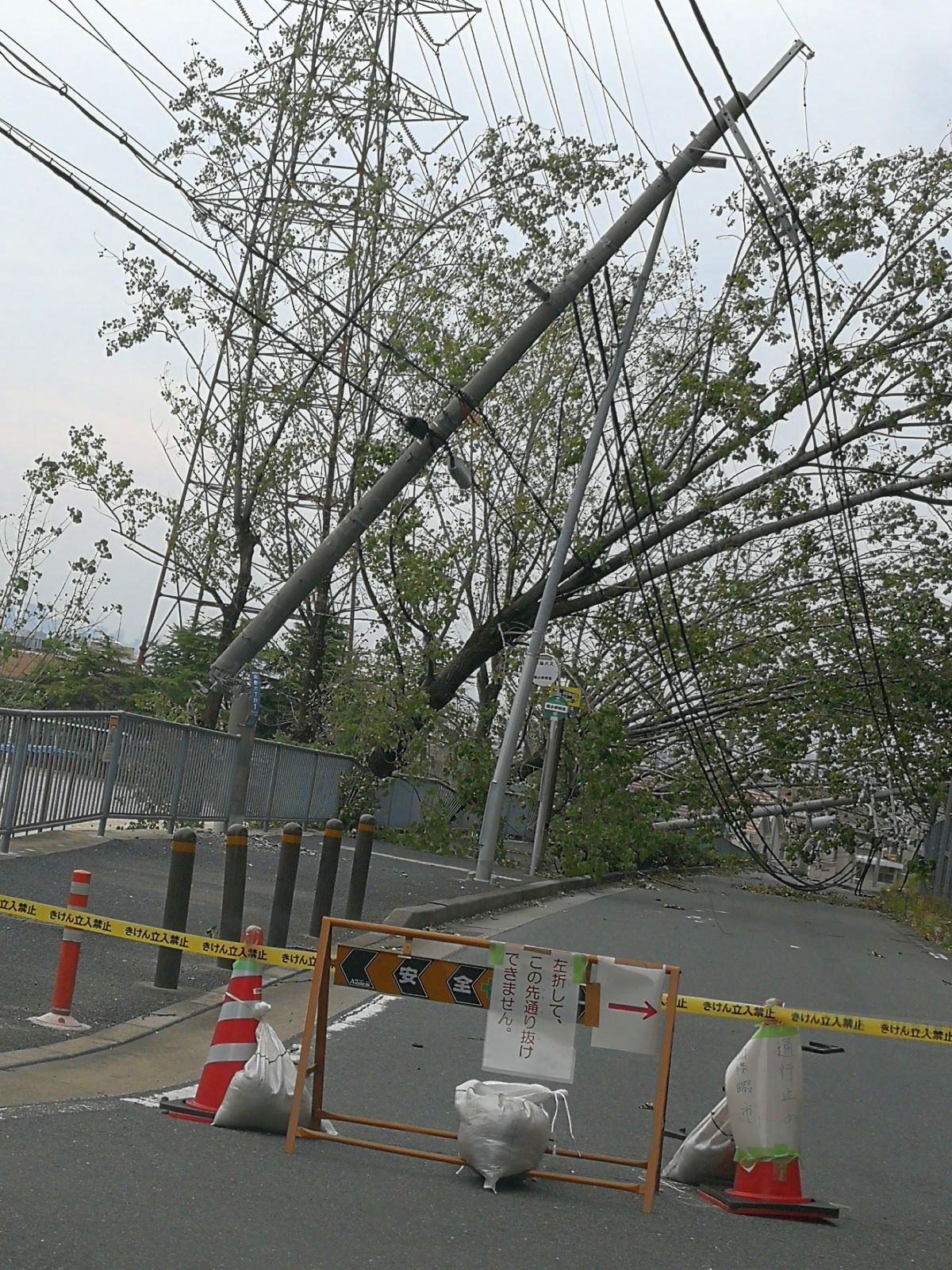 電柱が折れてる