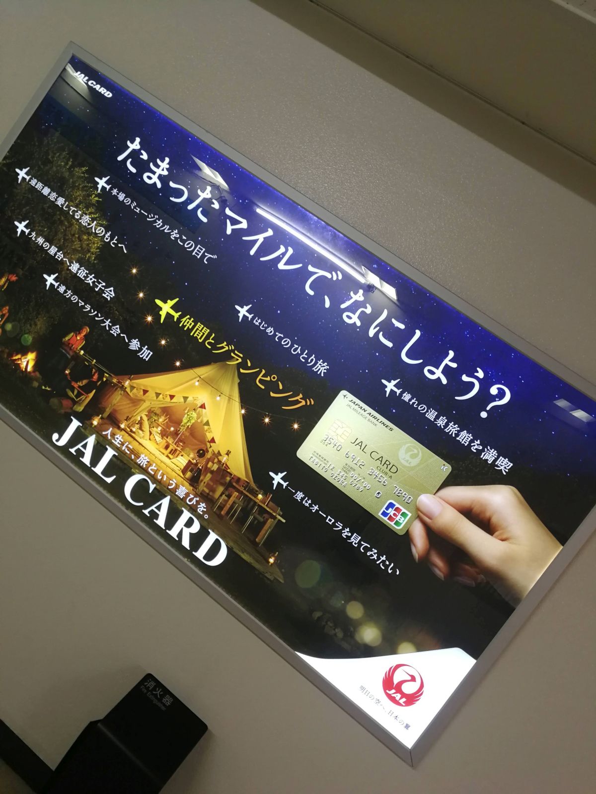 たまったマイルで、なにしよう？