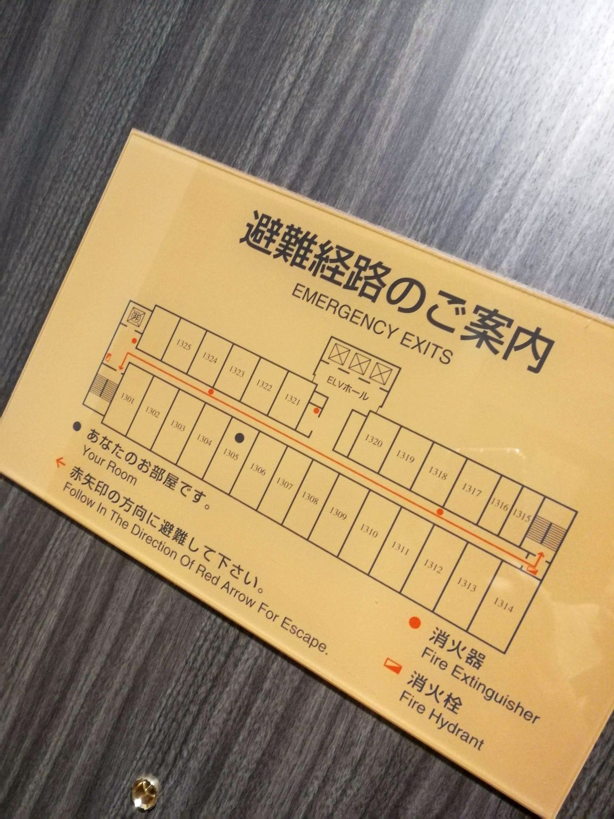 避難経路のご案内