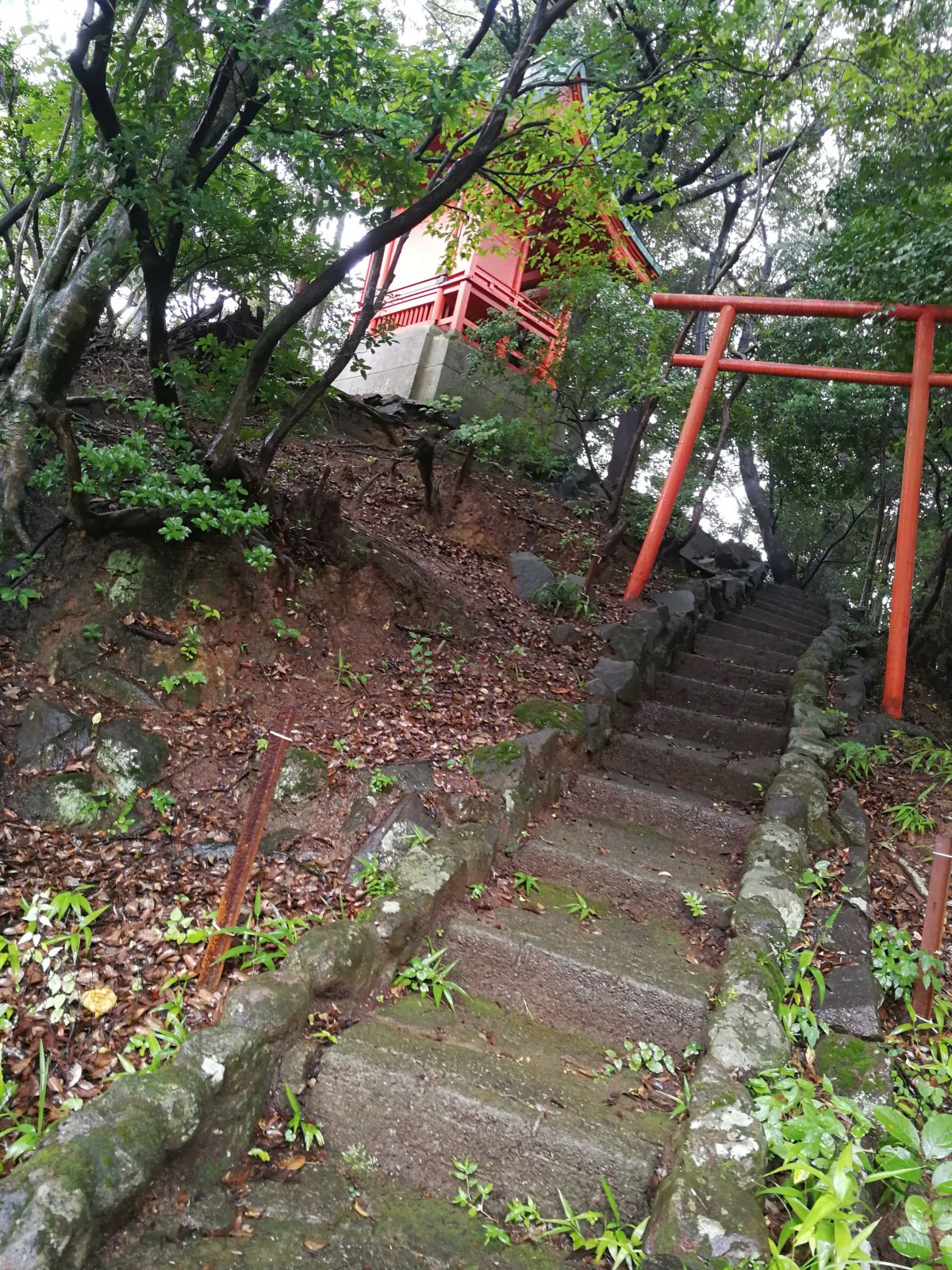 細い階段