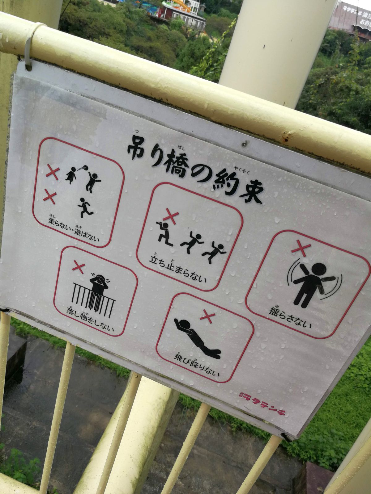 吊り橋の約束