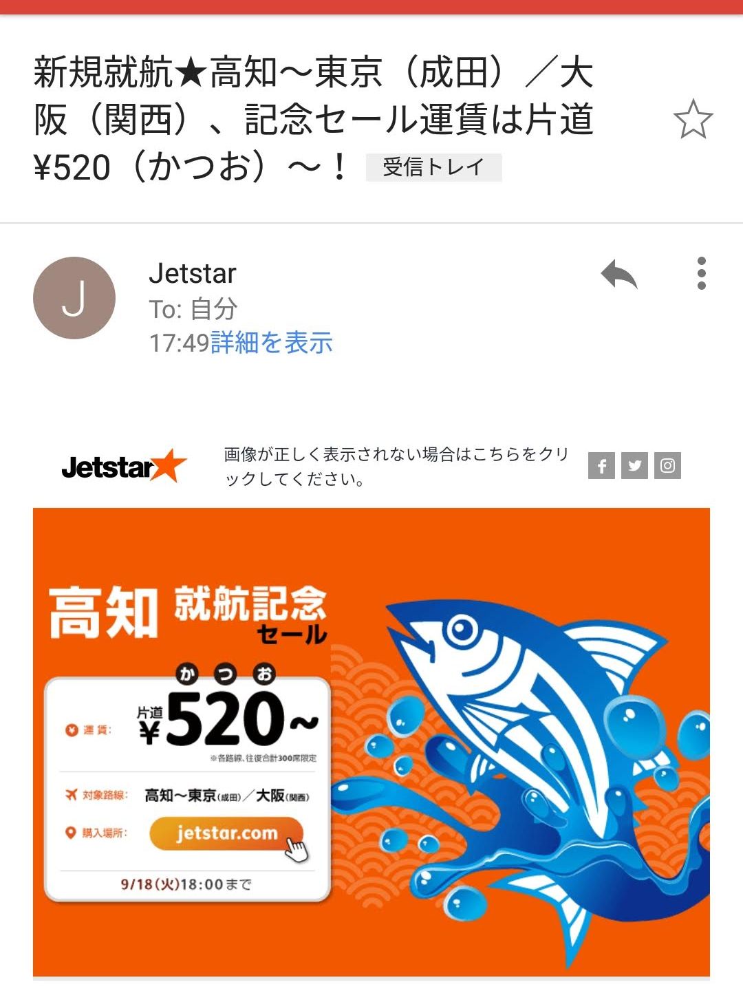 520でかつお