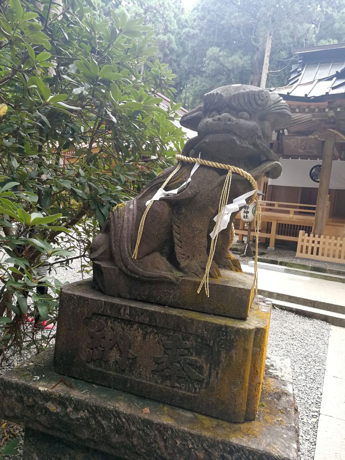 狛犬