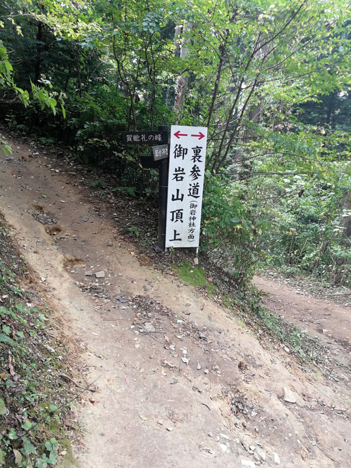 分岐点