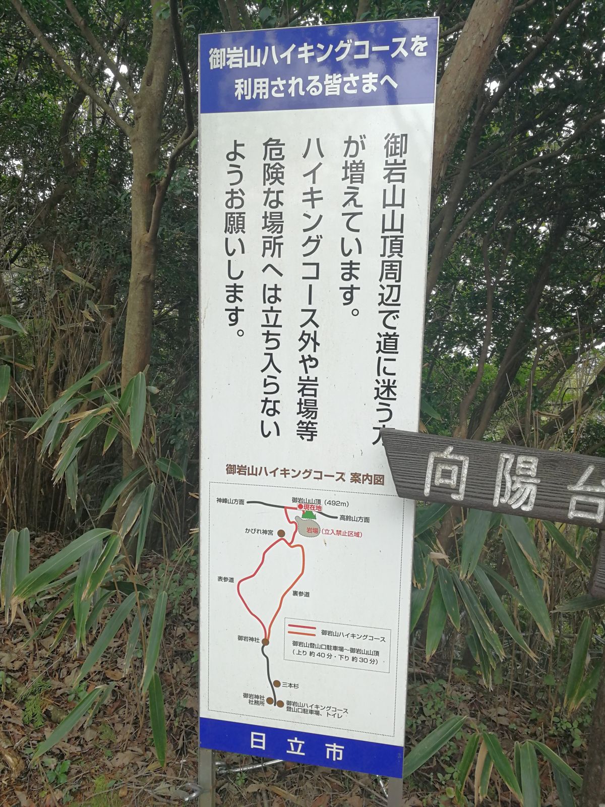 ハイキングコース