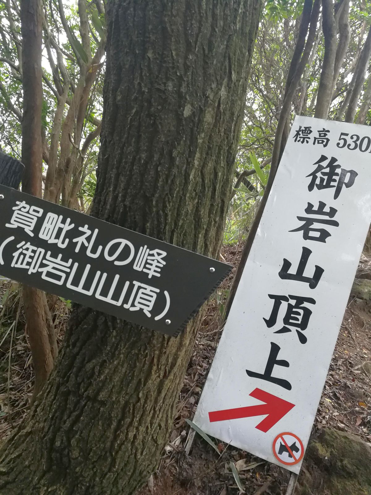 頂上あっち