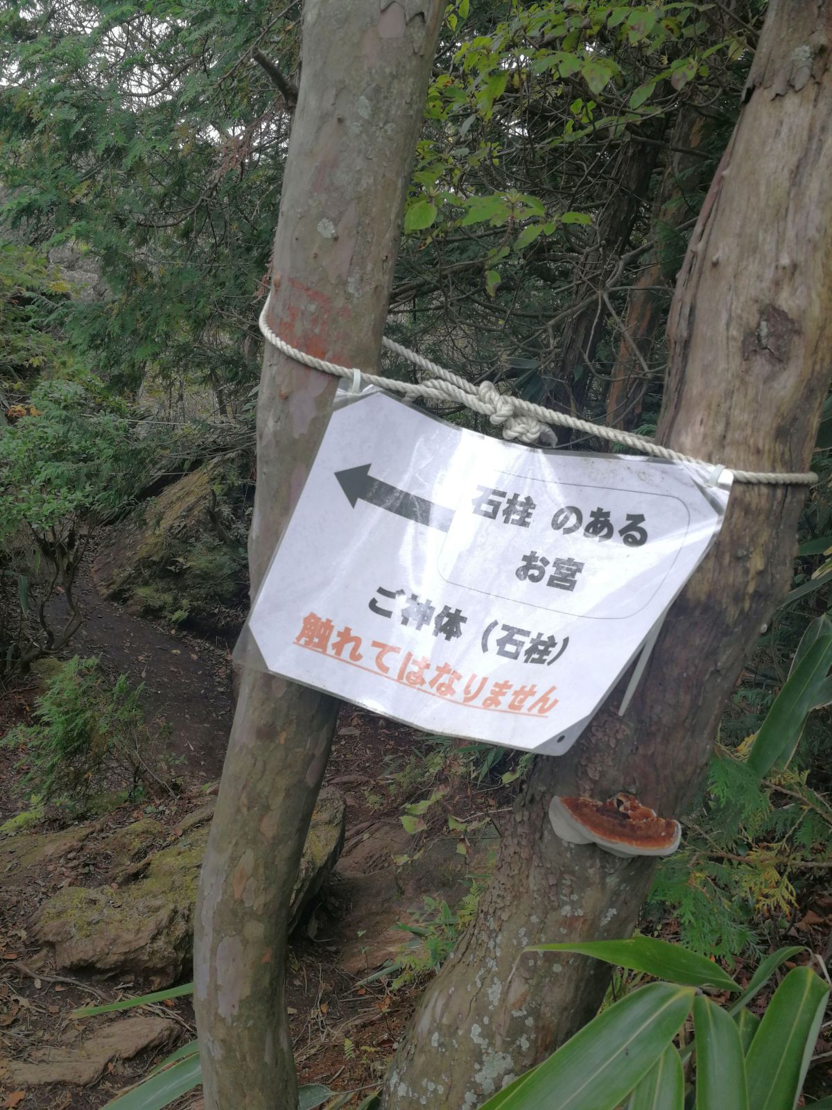 石柱のあるお宮