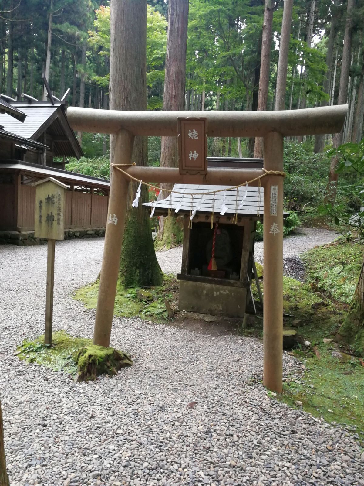 姥神