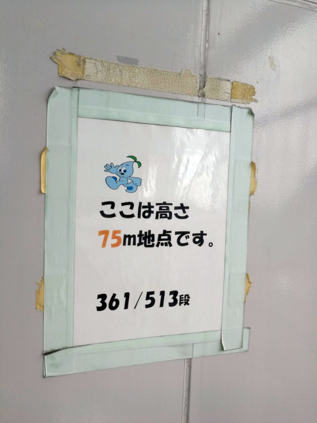 高さ75m地点