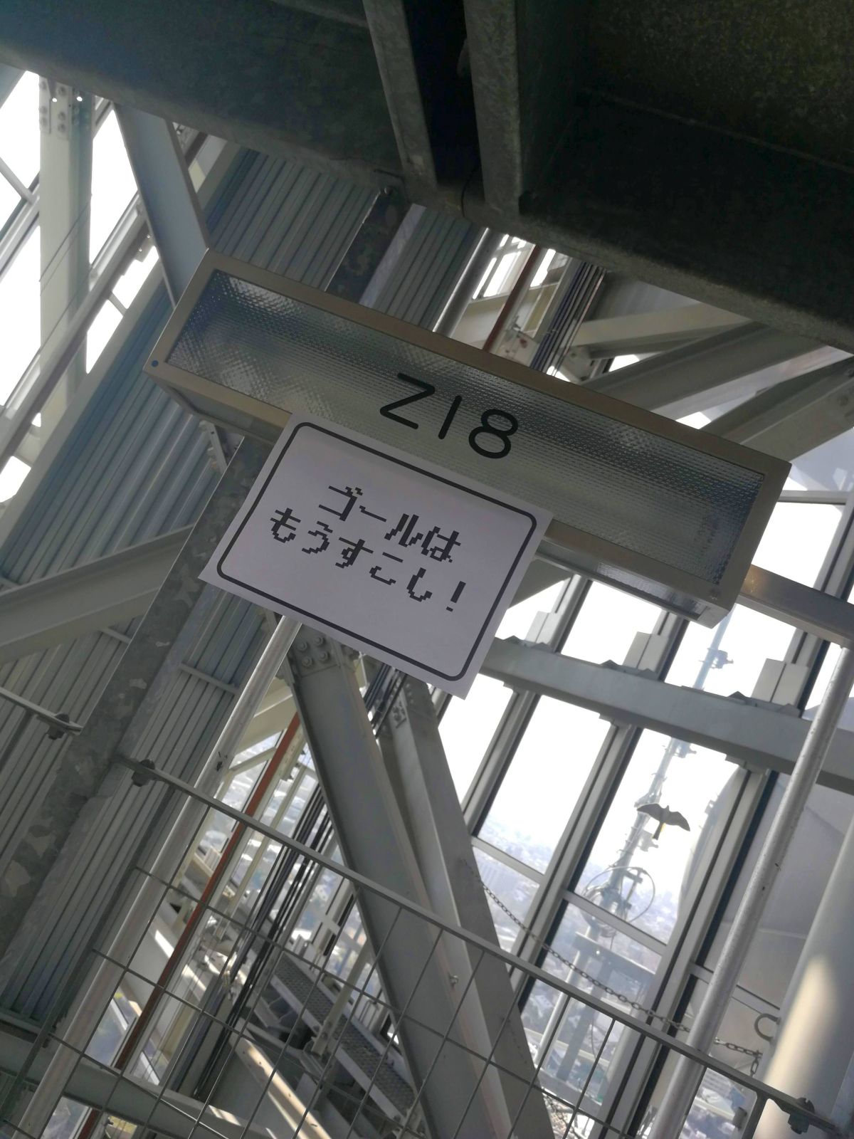 Z18